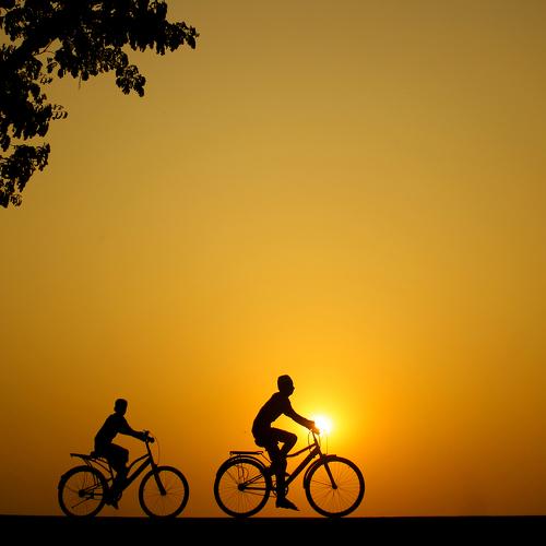 Photo #4832274