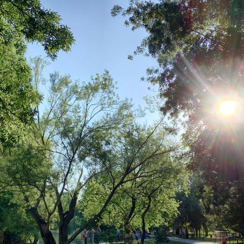 Photo #4832319