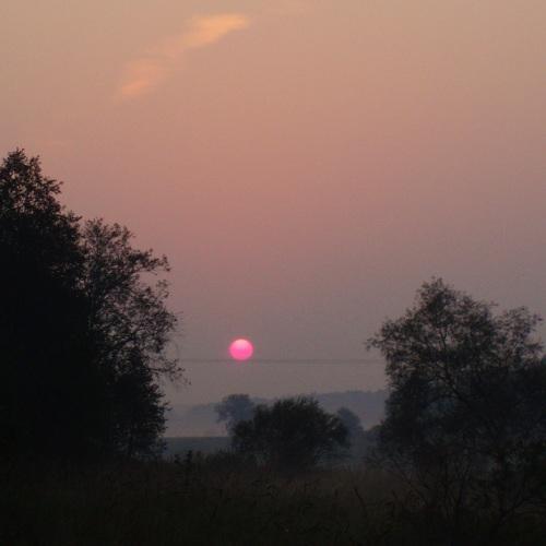Photo #4832343