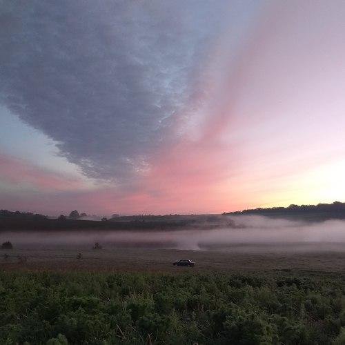 Photo #4833098
