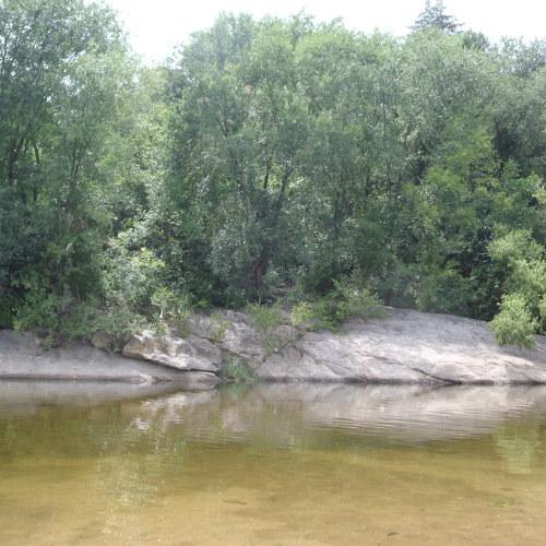 Photo #4833459