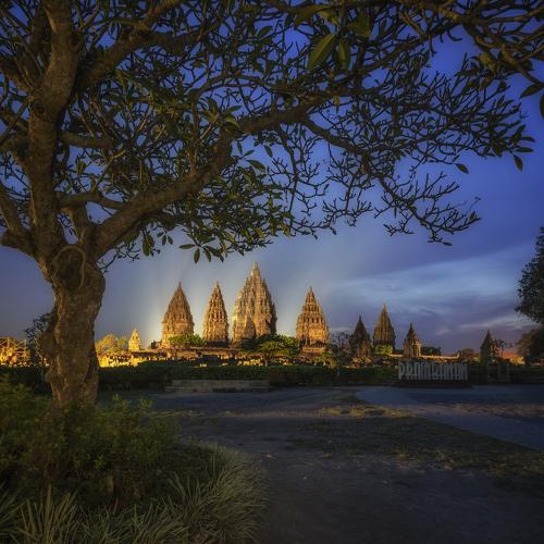 Photo #4833591