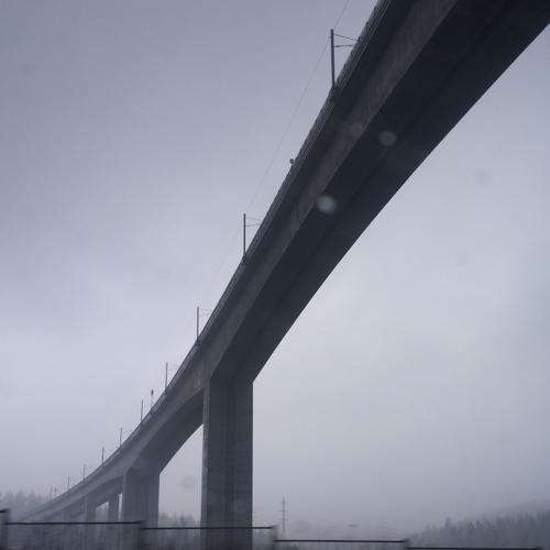 Photo #4833678
