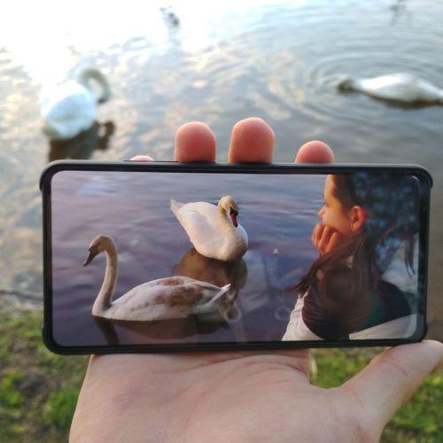 Photo #4833685