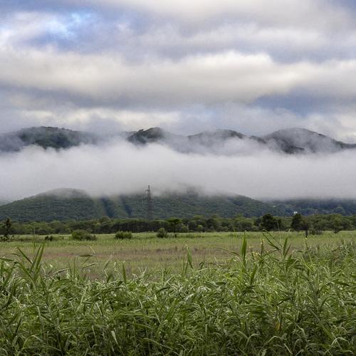 Photo #4833901