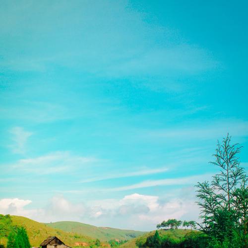 Photo #4833902