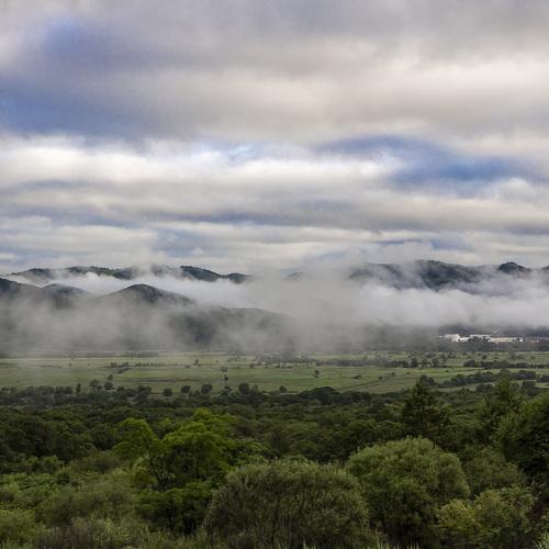 Photo #4833905