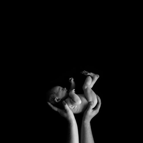 Фотография #4834256