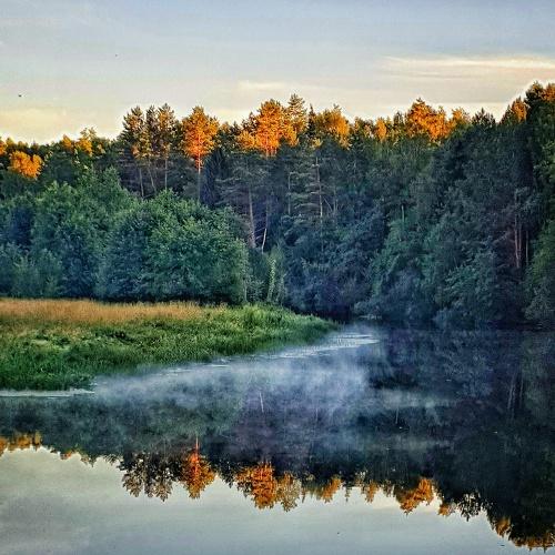 Photo #4834280