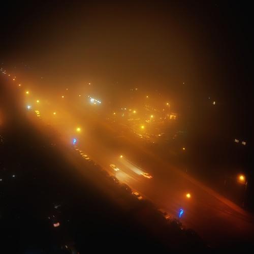Photo #4834291