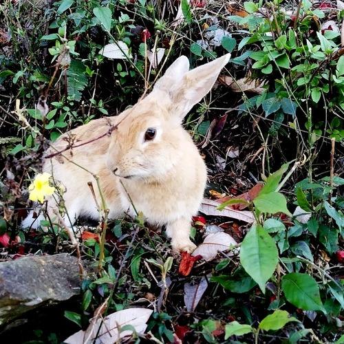 Photo #4834550