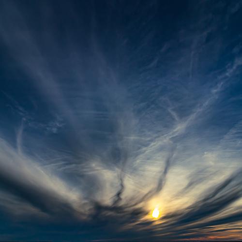Photo #4834584
