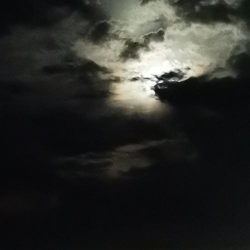 Photo #4834611