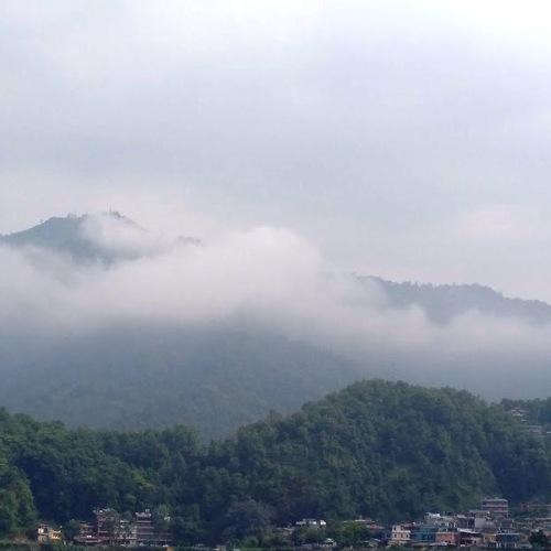 Photo #4834630