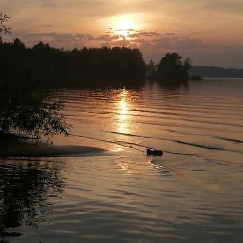Photo #4834655
