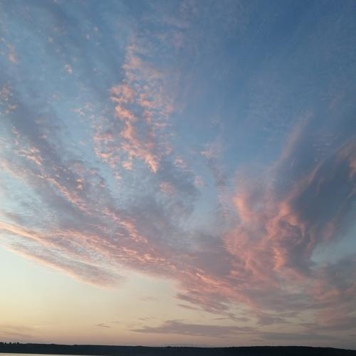 Photo #4834656