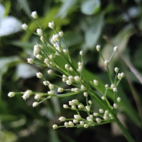 Photo #4834803