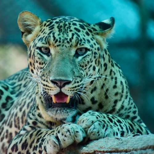 Photo #4834846