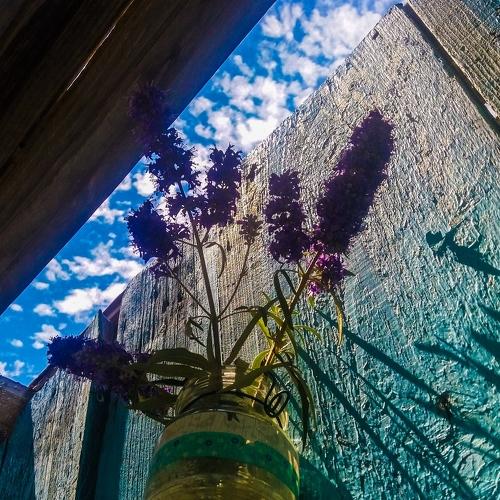 Photo #4834960
