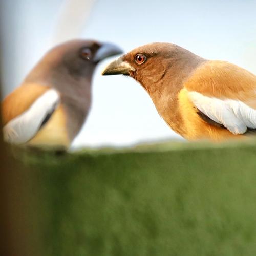Photo #4835007
