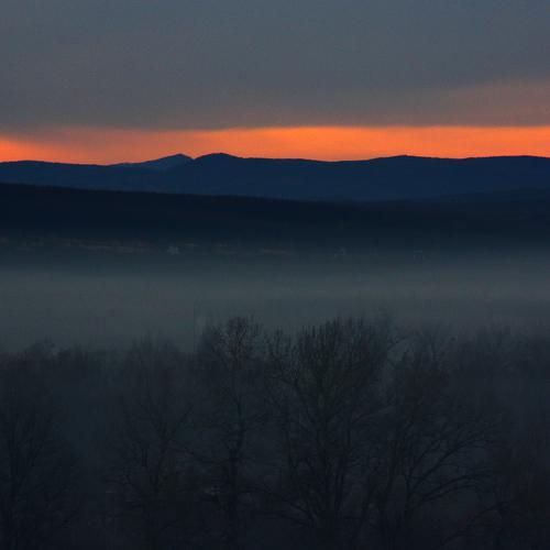 Photo #4835103