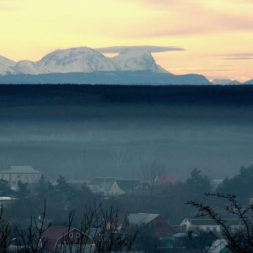 Photo #4835104