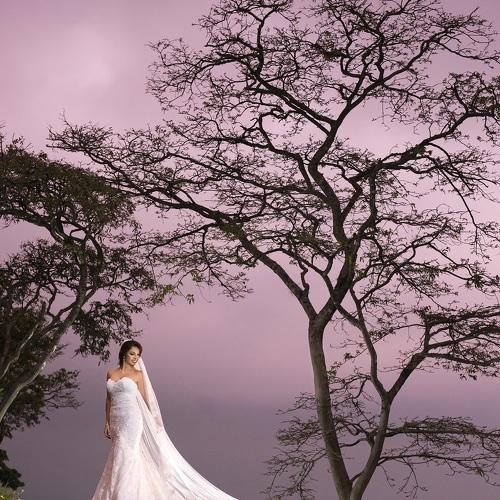 Photo #4835402