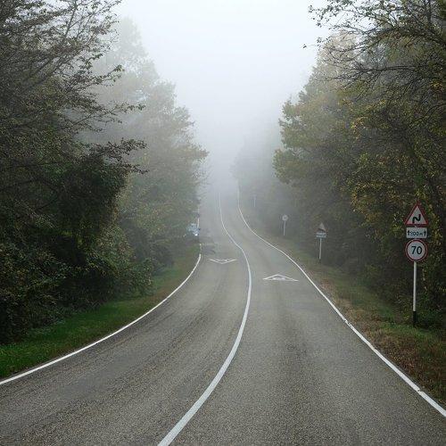 Photo #4835412