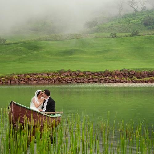 Photo #4835433