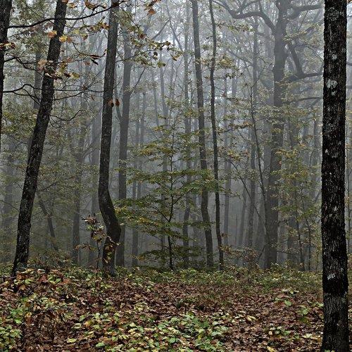 Photo #4835470