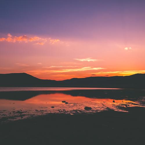 Photo #4835613