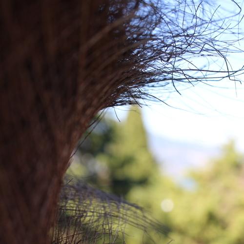 Photo #4837012