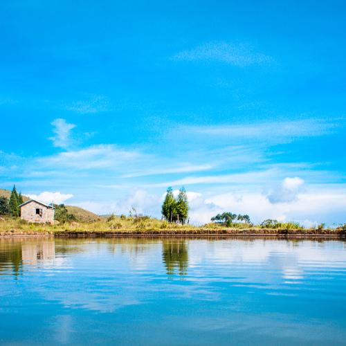 Photo #4837086