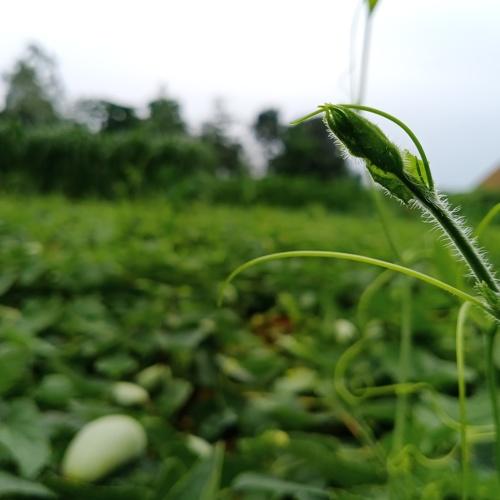 Photo #4837112