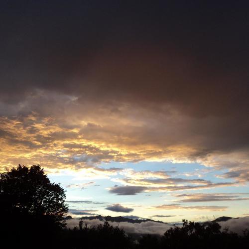 Photo #4837133