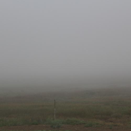 Photo #4837328