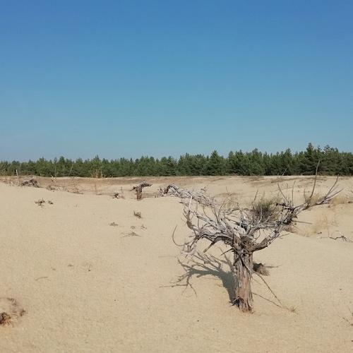 Photo #4837398