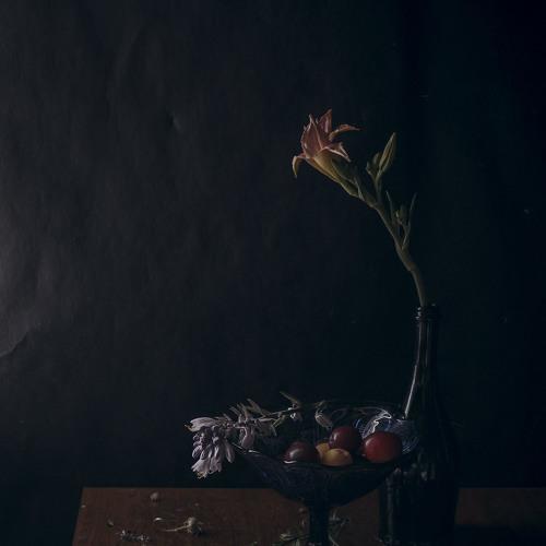 Photo #4837450