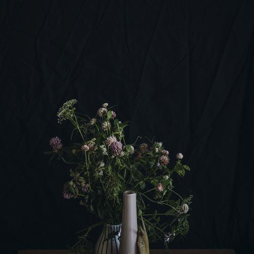 Photo #4837470