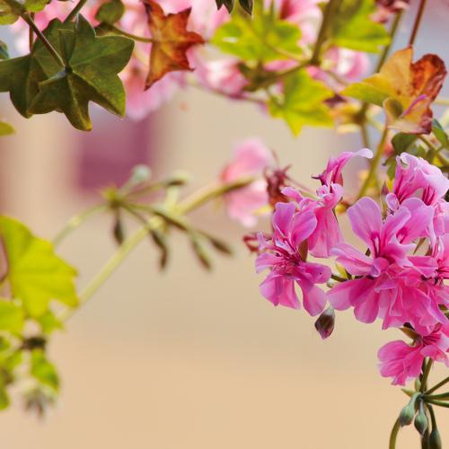 Photo #4837535
