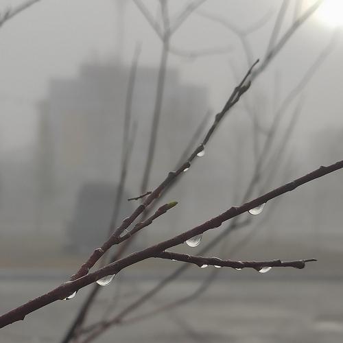 Photo #4837627