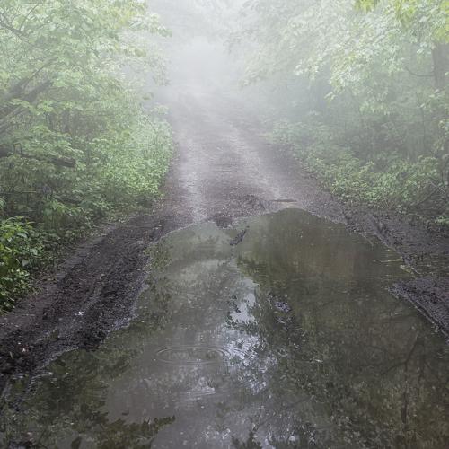 Photo #4837844