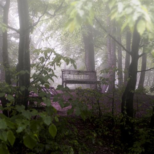 Photo #4837848