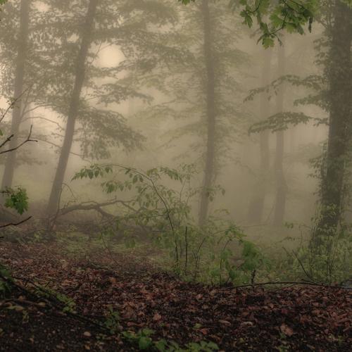 Photo #4837849
