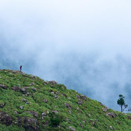 Photo #4837950