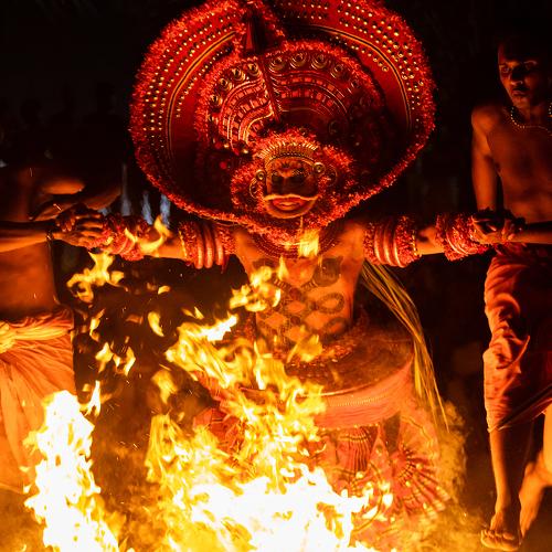 Photo #4837972