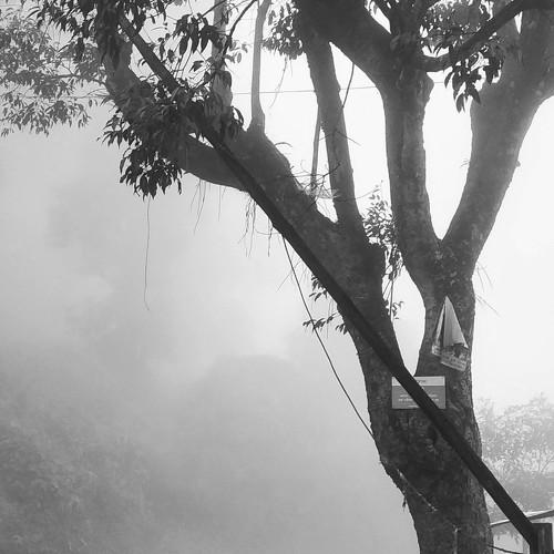 Photo #4838313