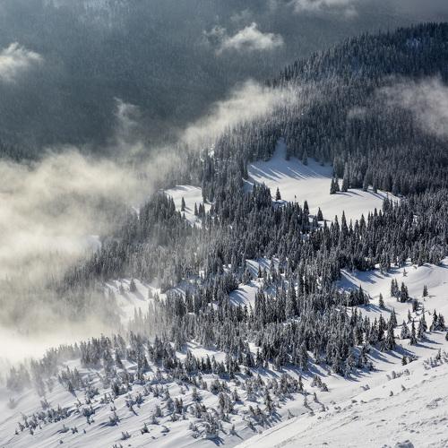 Photo #4838491