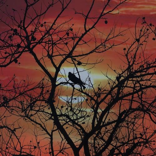 Photo #4838565