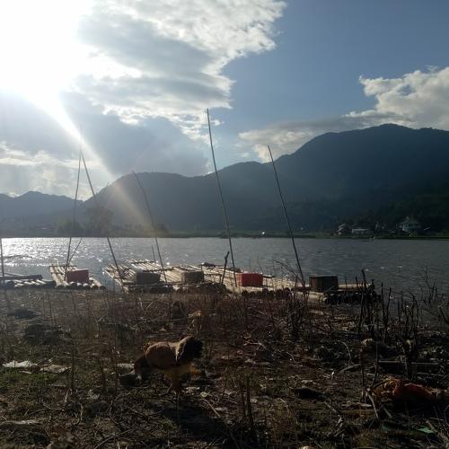 Photo #4838993